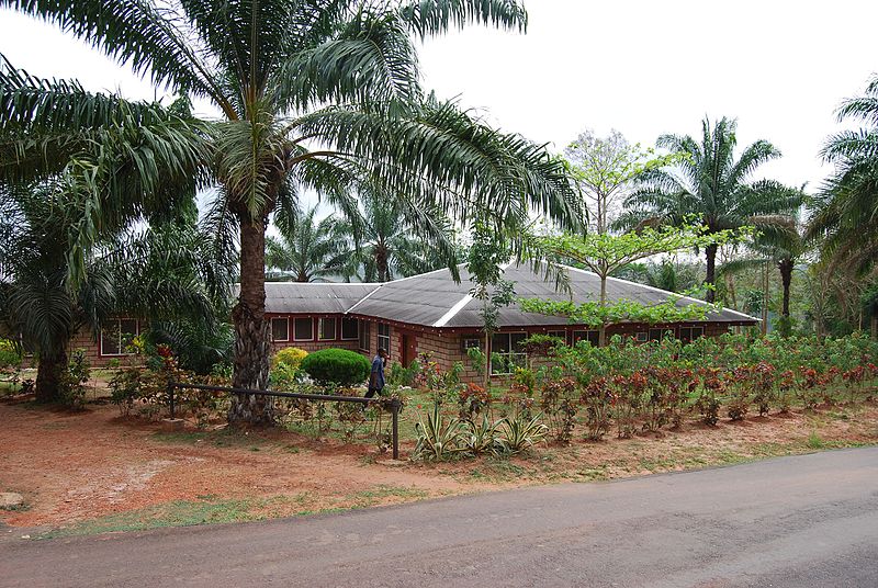 Near view of New Pax Herbal Center